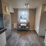 Am Saalebogen Mit Gartenterrasse, Grillkamin Und Freie Parkplaetze