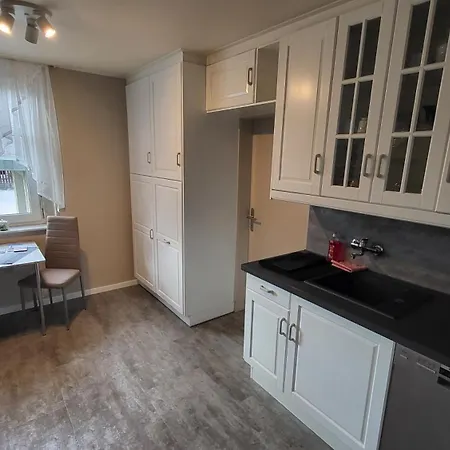 Am Saalebogen Mit Gartenterrasse, Grillkamin Und Freie Parkplätze Apartment