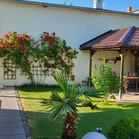 Apartment Am Saalebogen Mit Gartenterrasse, Grillkamin, Freie Parkplaetze *