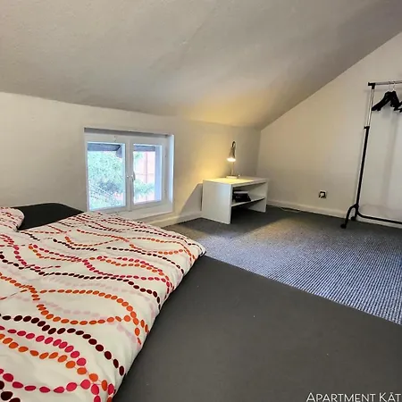 Am Saalebogen Mit Gartenterrasse, Grillkamin, Freie Parkplaetze *