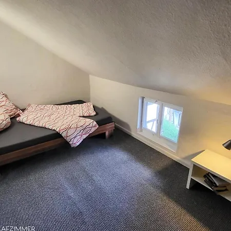 Apartamento Am Saalebogen Mit Gartenterrasse, Grillkamin Und Freie Parkplaetze