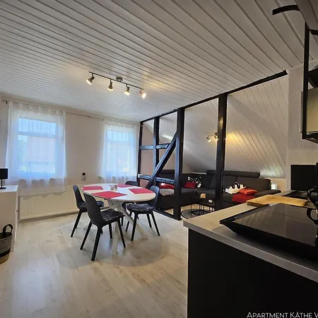 Am Saalebogen Mit Gartenterrasse, Grillkamin, Freie Parkplaetze Apartment