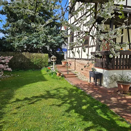 Am Saalebogen Mit Gartenterrasse, Grillkamin, Freie Parkplaetze Apartment Rudolstadt