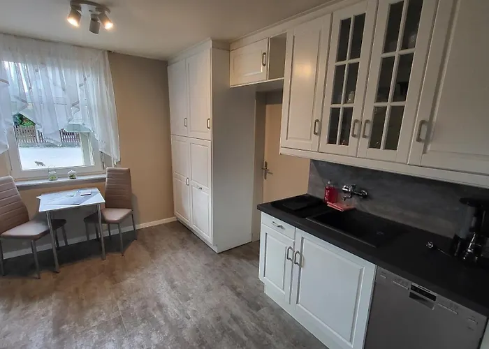 Am Saalebogen Mit Gartenterrasse, Grillkamin Und Freie Parkplaetze Daire