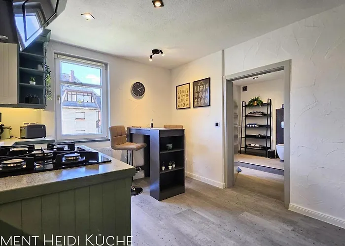 Am Saalebogen Mit Gartenterrasse, Grillkamin Und Freie Parkplaetze Appartamento Rudolstadt