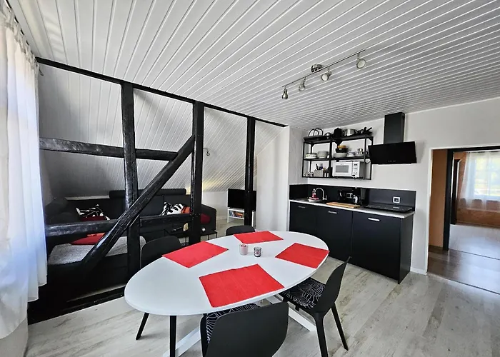 Am Saalebogen Mit Gartenterrasse, Grillkamin Und Freie Parkplaetze Appartement