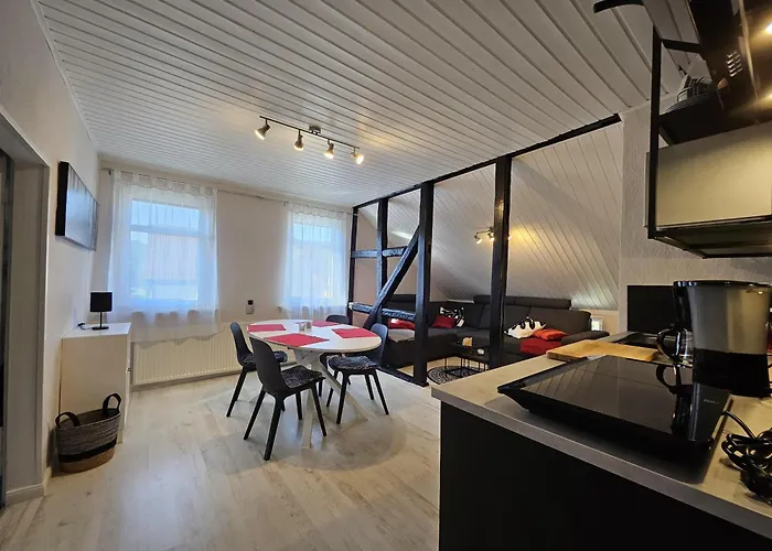 Am Saalebogen Mit Gartenterrasse, Grillkamin Und Freie Parkplaetze Appartement