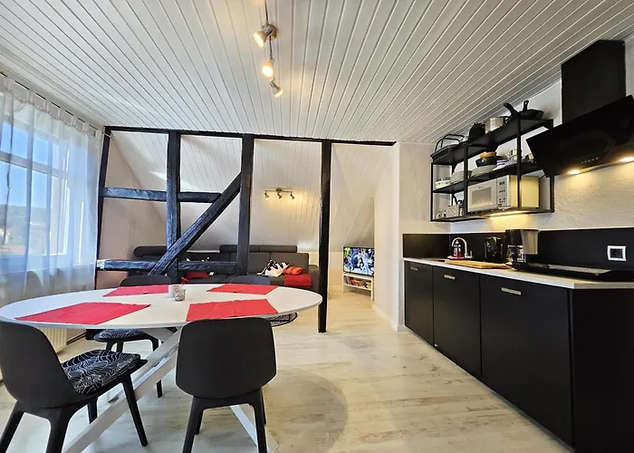 Daire Am Saalebogen Mit Gartenterrasse, Grillkamin Und Freie Parkplaetze Rudolstadt